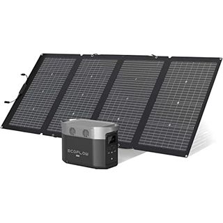 EF ECOFLOW Delta Max + 220W Solar Panel