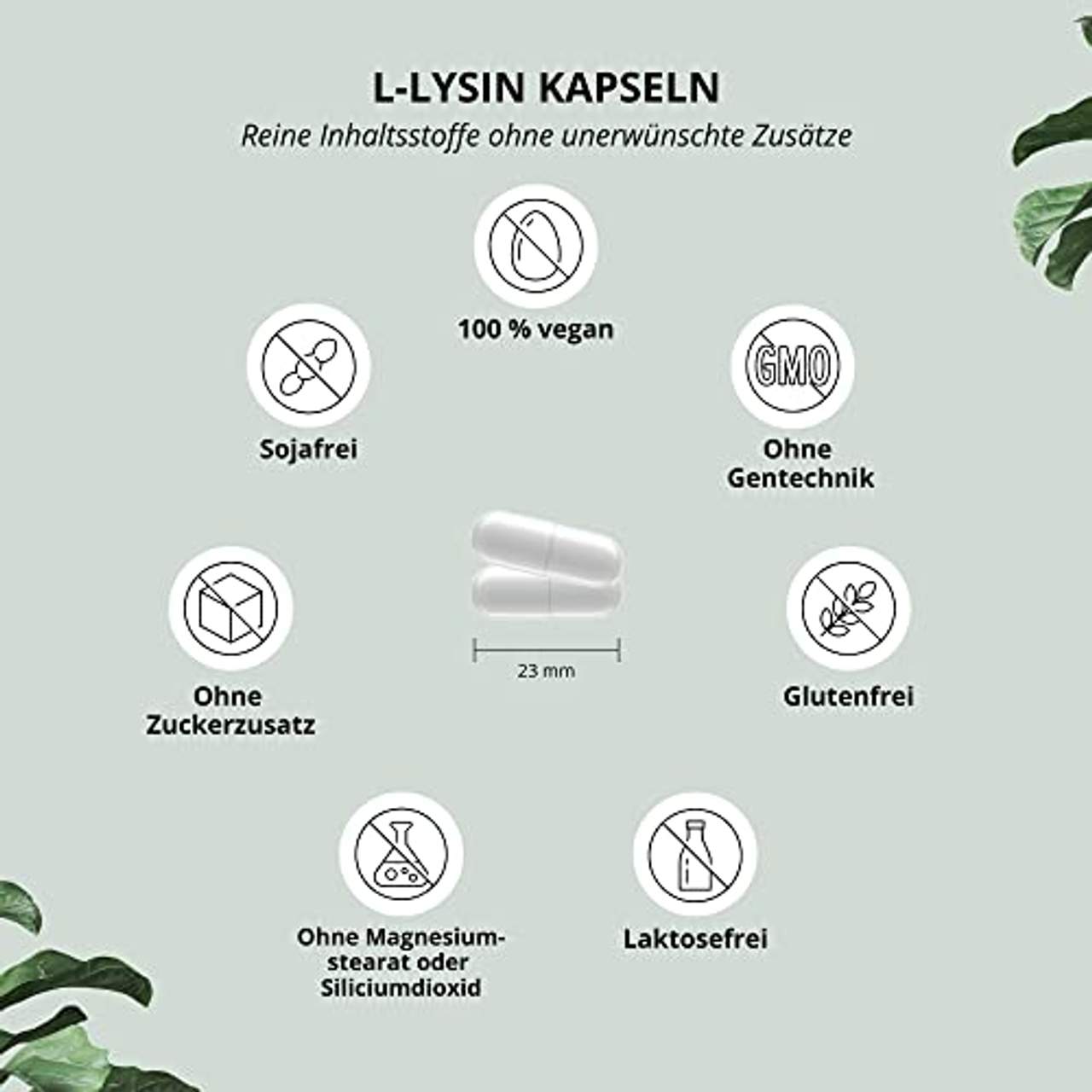 Nutri + L-LYSIN Kapseln hochdosiert Baustein für Kollagen & Bindegewebe