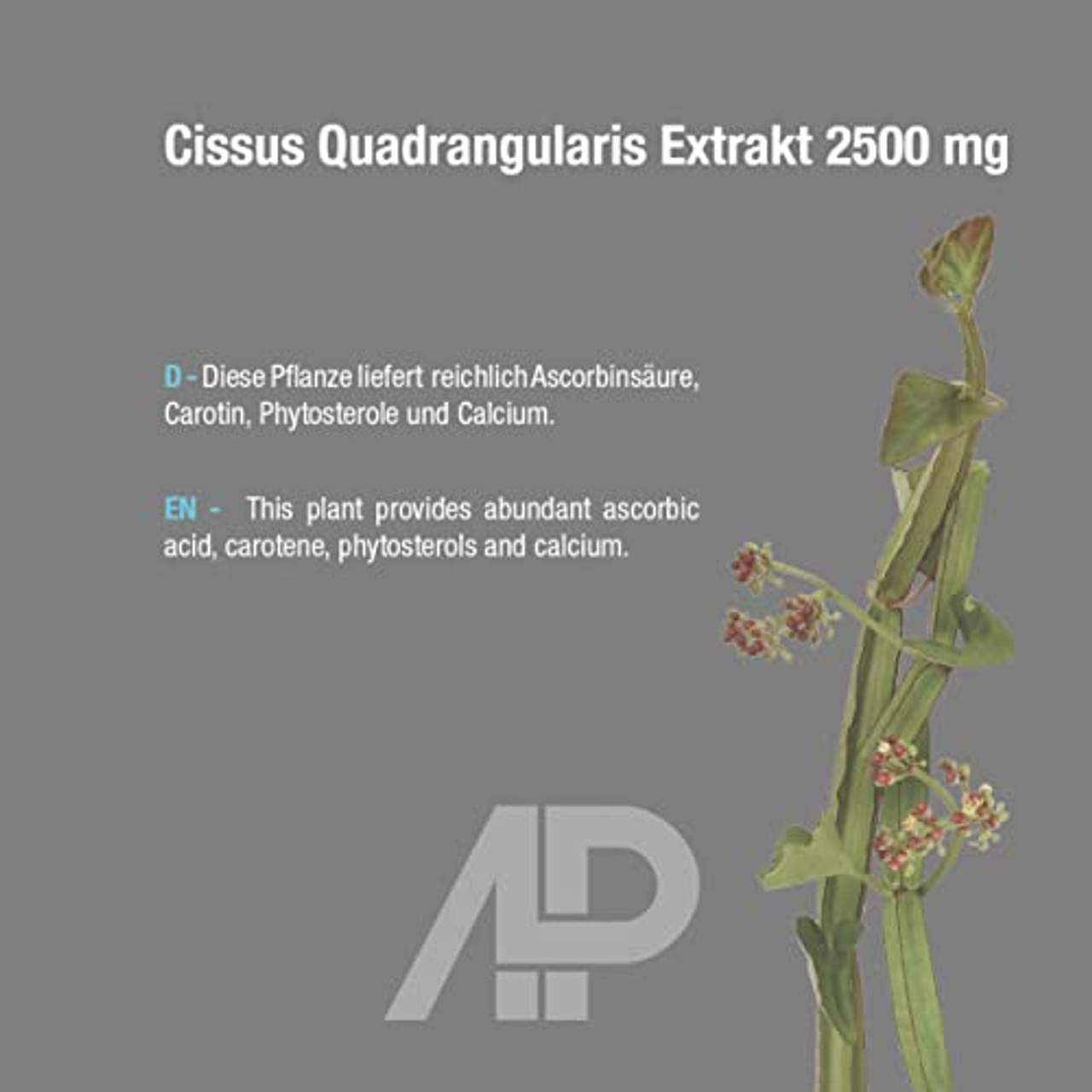 Cissus Quadrangularis Extrakt 2500 mg