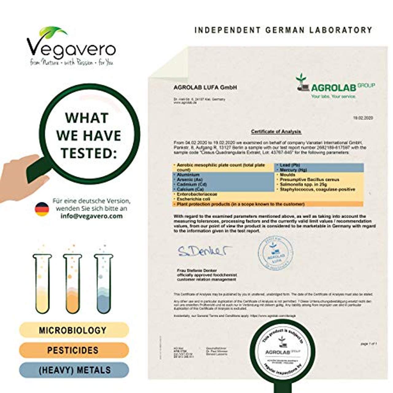 Cissus Quadrangularis Vegavero 40% Ketosterone