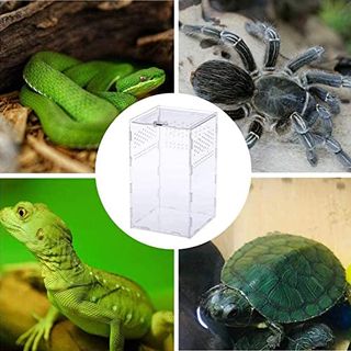 Suprcrne Reptil Fütterungsbox