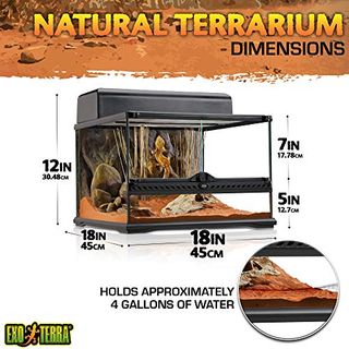 Exo Terra Terrarium aus Glas