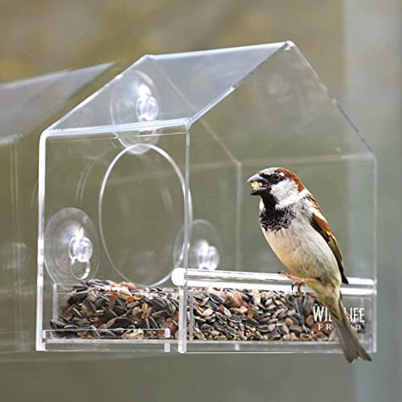 WILDLIFE FRIEND I Fenster-Futterhaus für Wildvögel