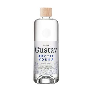 Gustav Wodka