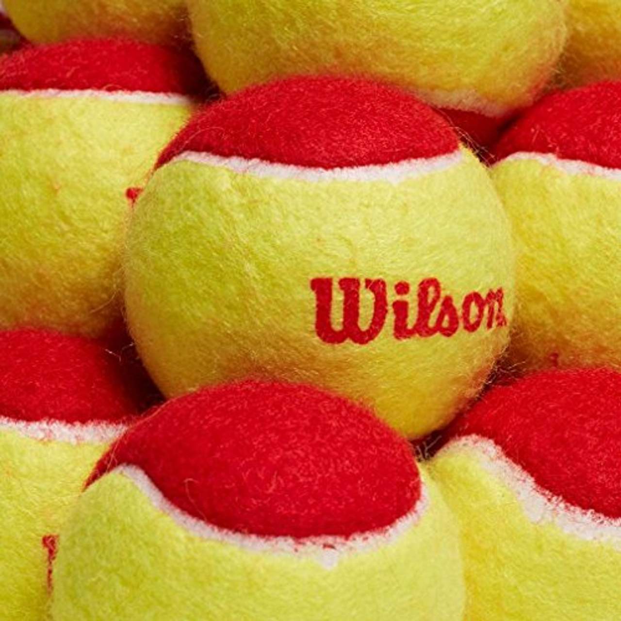 Wilson Tennisbälle Starter Red