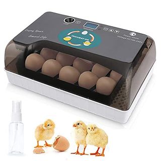 Sailnovo Brutmaschine Vollautomatisch Hühner Eier Brutgerät