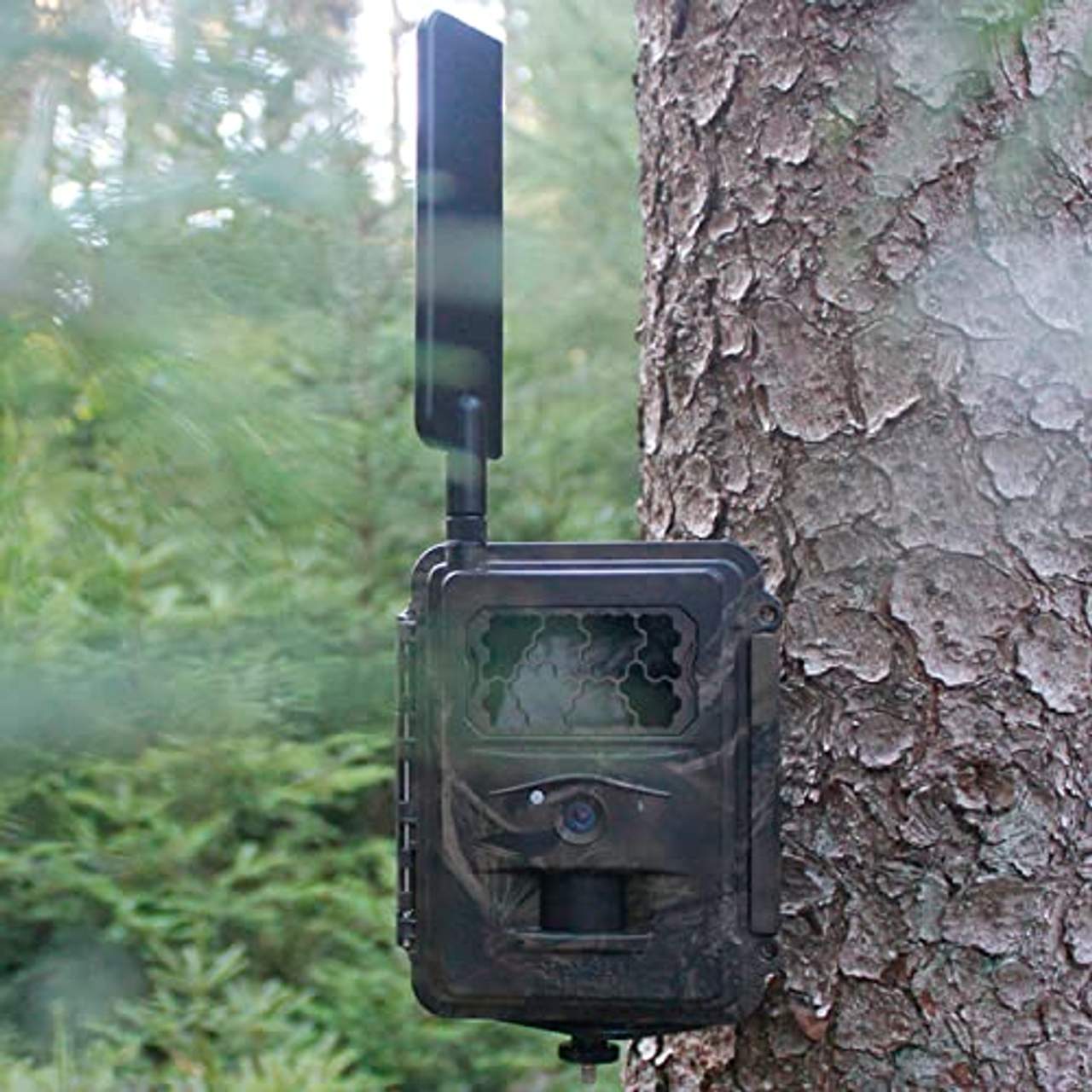 SEISSIGER Wildkamera Special-Cam LTE Camouflage