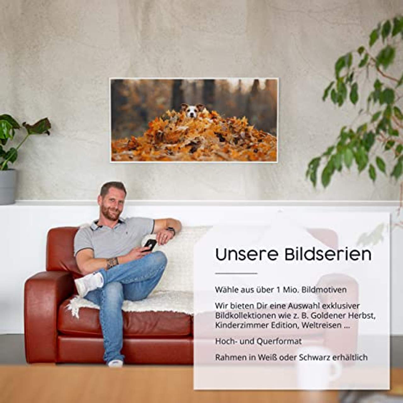 Könighaus Fern Infrarotheizung Bildheizung in HD Qualität