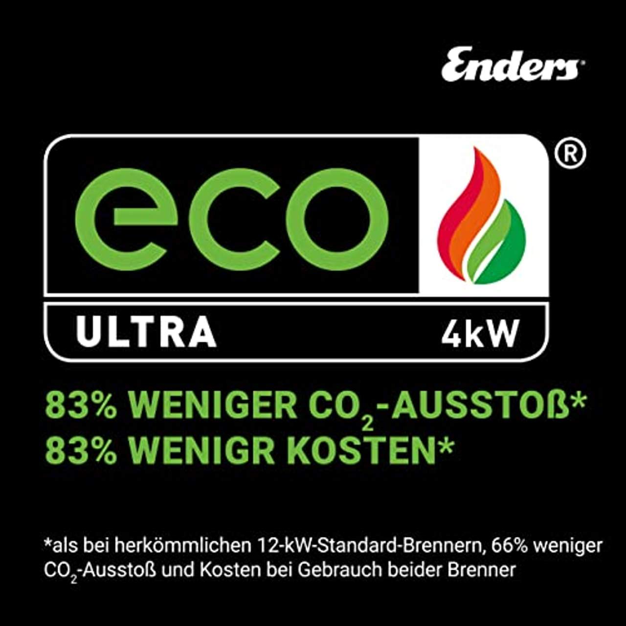 Enders Terrassenheizer Gas Ecoline Pure