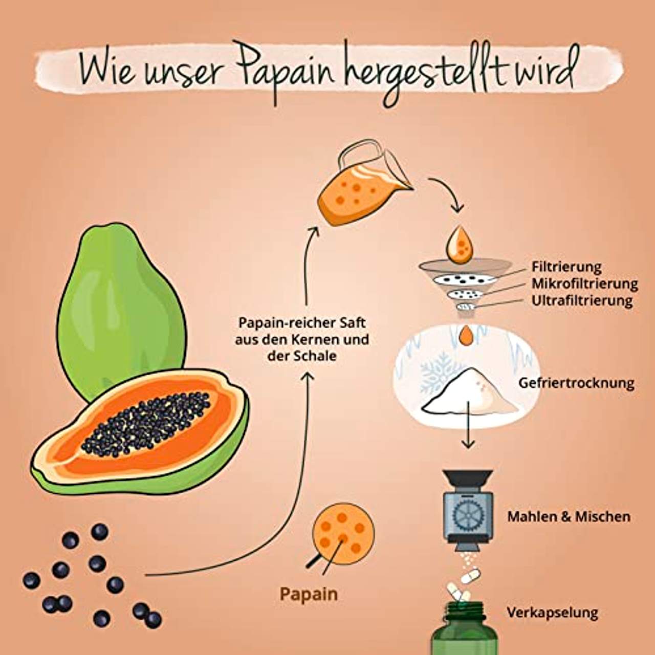 Papaya Enzym Vegavero HOCHDOSIERT: 1500 mg Papain pro Tagesdosis