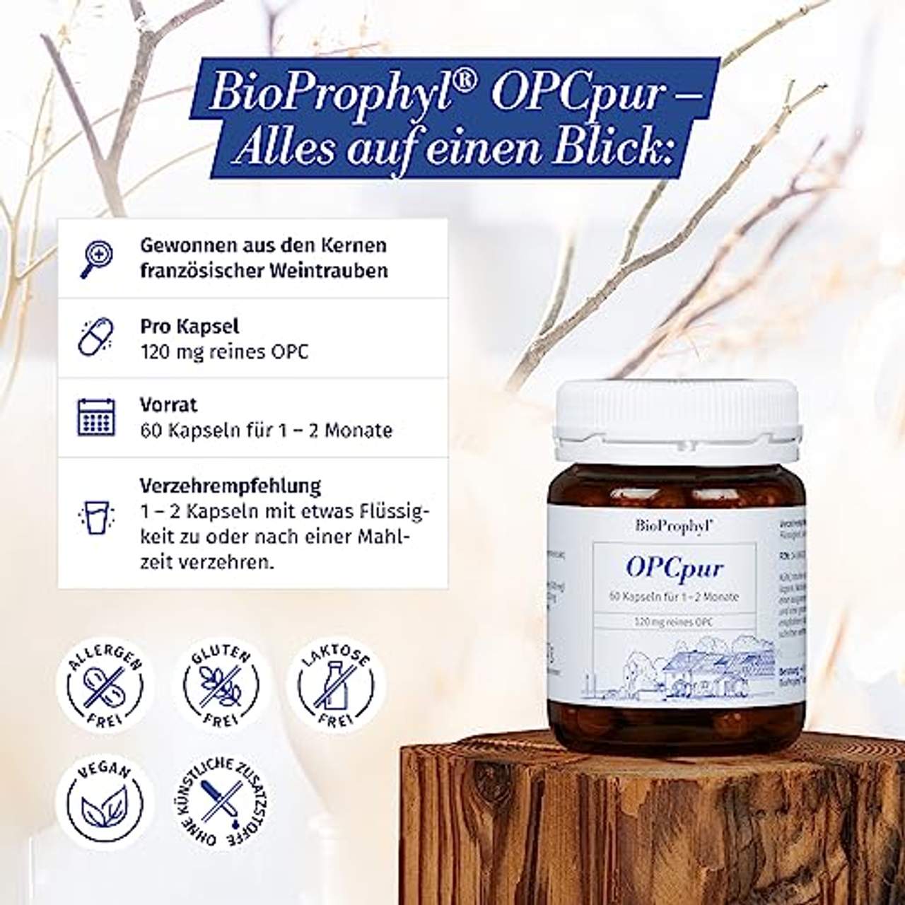 BioProphyl OPCpur mit 120 mg reinem OPC ohne Vitamin C aus der Acerolakirsche