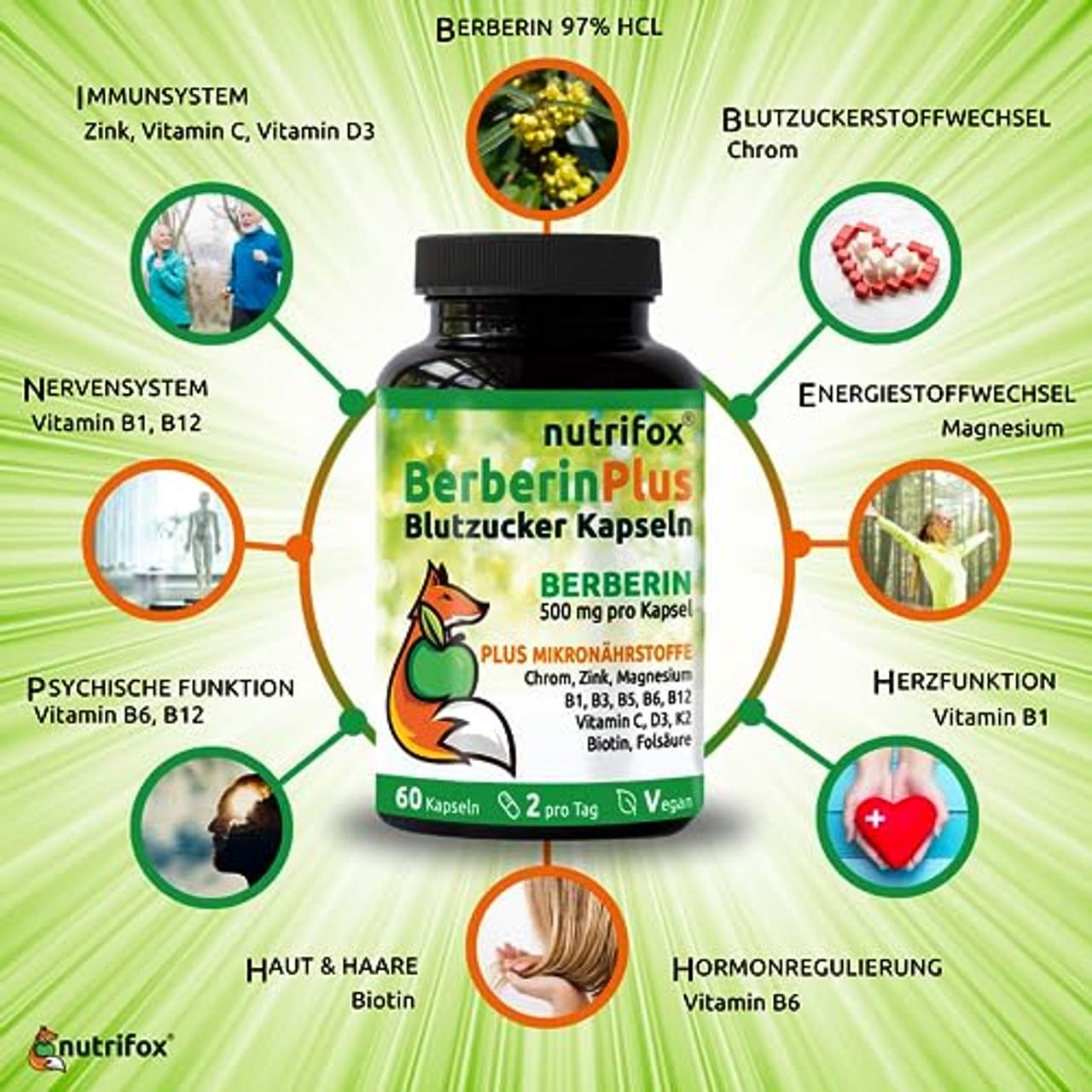 Berberin 500 mg Plus Multivitamine & Mineralstoffe