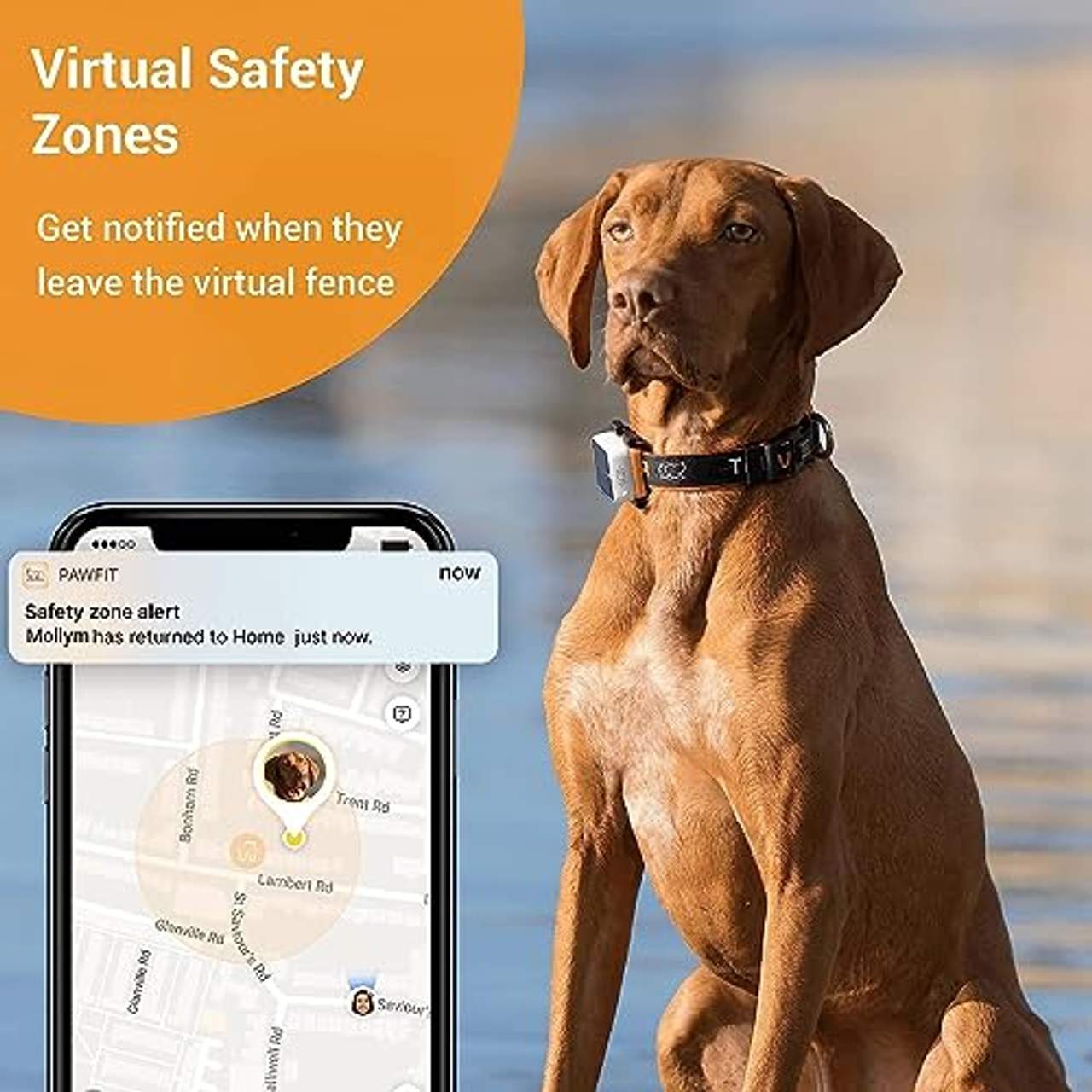 Pawfit 2 Hunde GPS Tracker & Aktivitätsmonitor