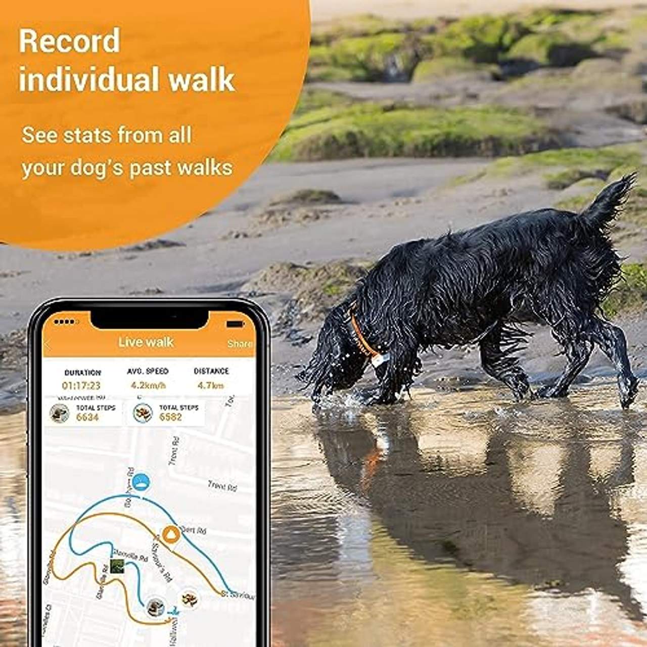 Pawfit 2 Hunde GPS Tracker & Aktivitätsmonitor