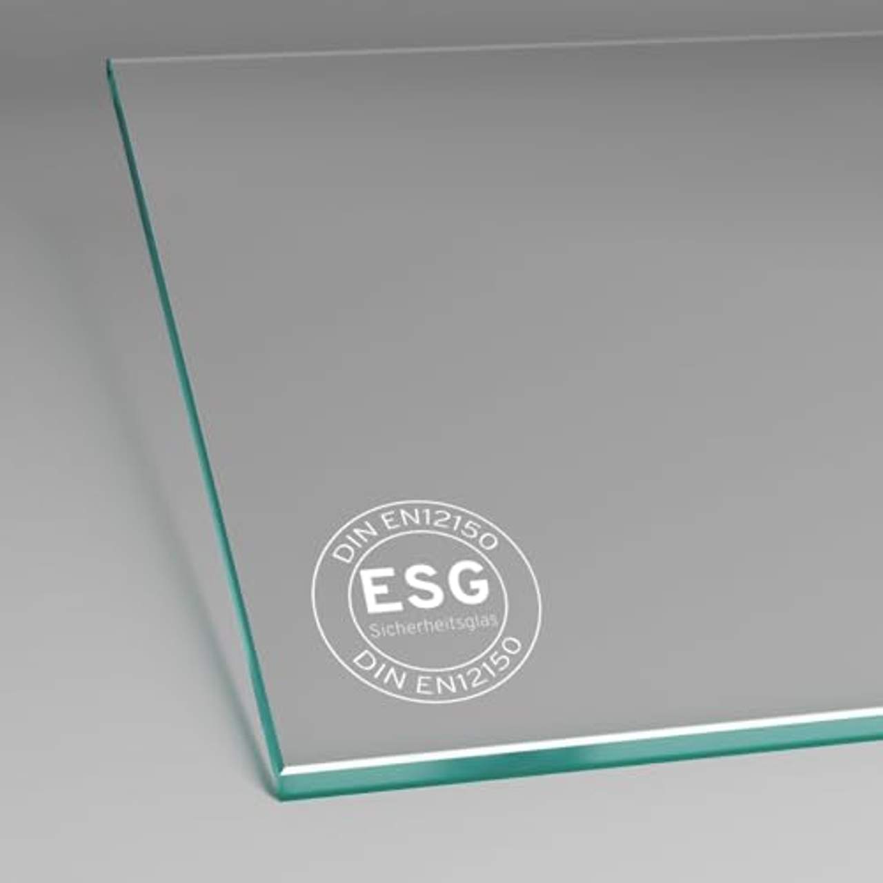 inova Glas-Schiebetür offene Schiene 880x2080mm vollflächig