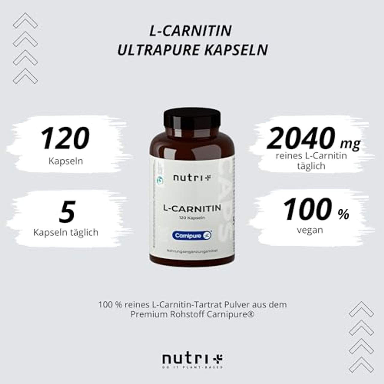 Nutri + L-CARNITIN Kapseln hochdosiert