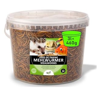 UGF Premium Mehlwürmer getrocknet 3 Liter Eimer