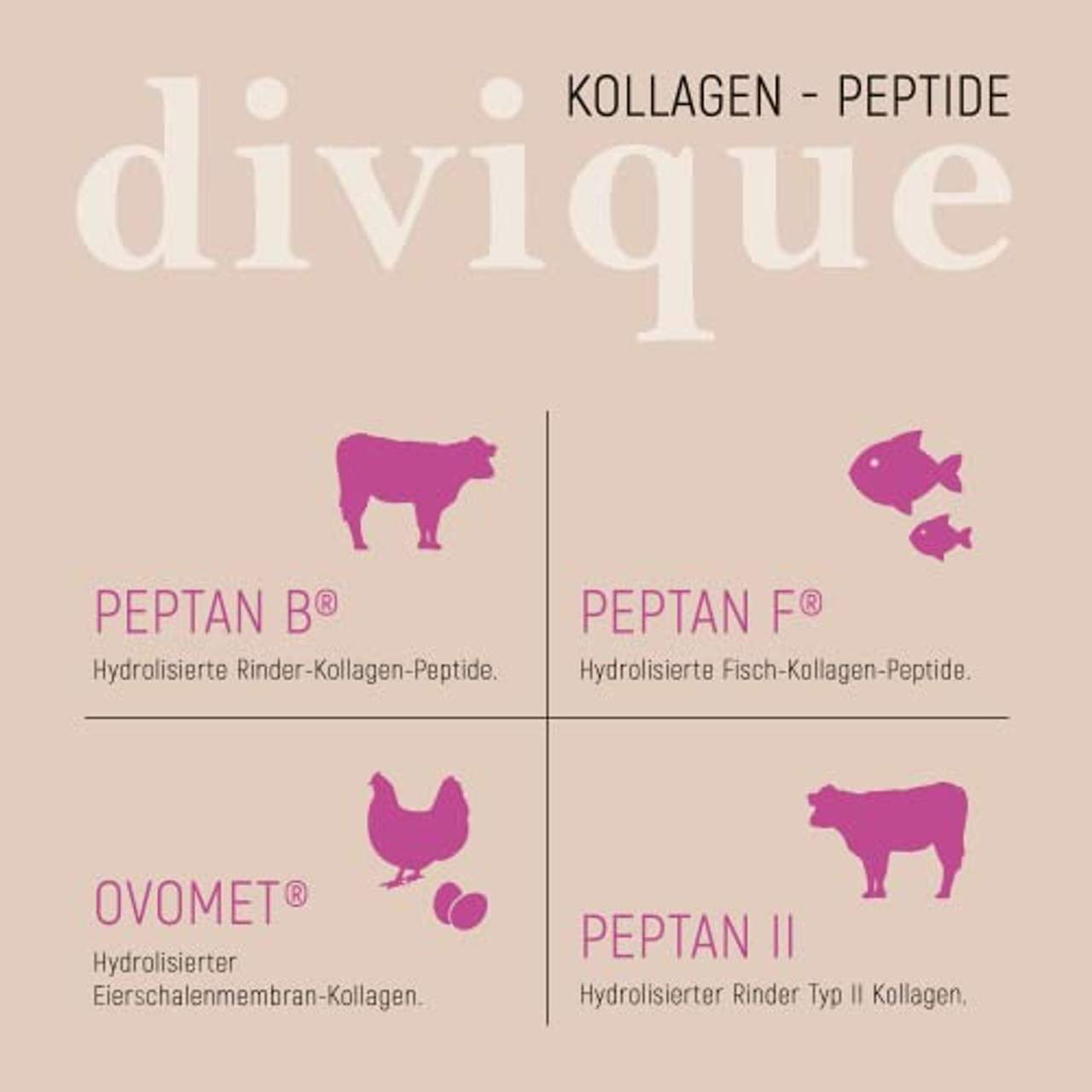 Divique Kollagen Pulver