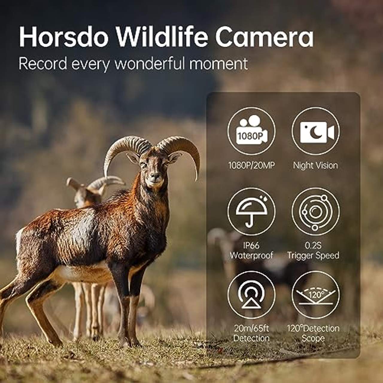 Horsdo Wildkamera 20MP 1080P HD