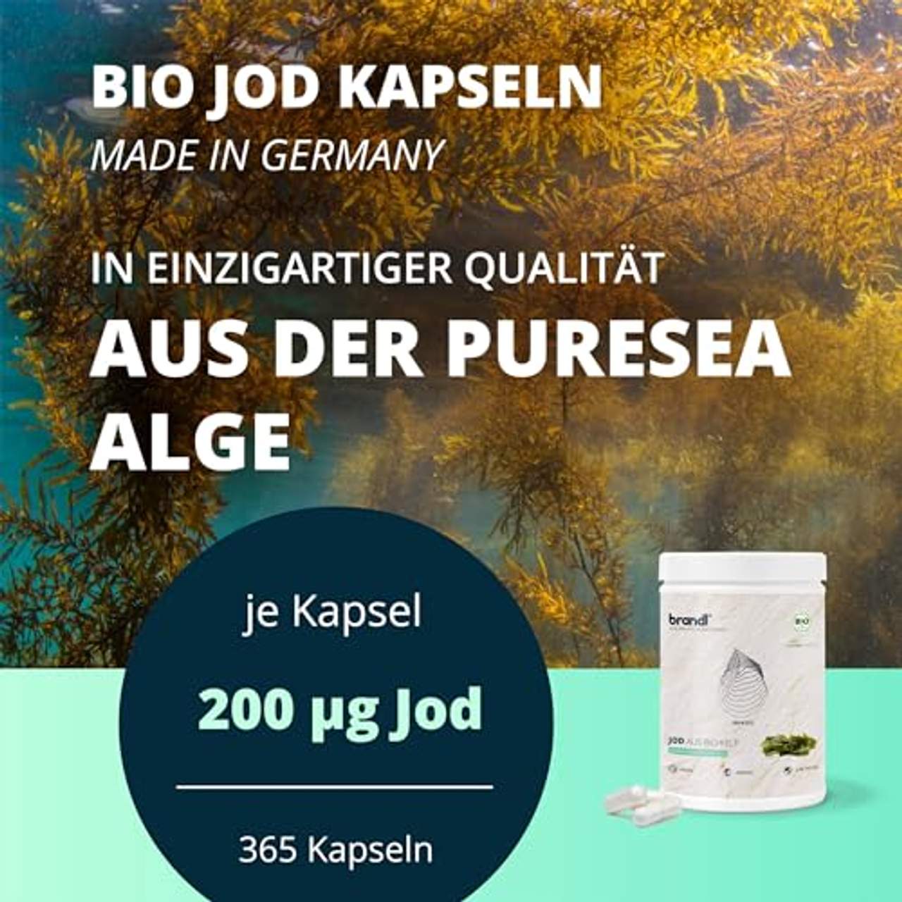 Jod Tabletten aus Bio Kelp von PureSea