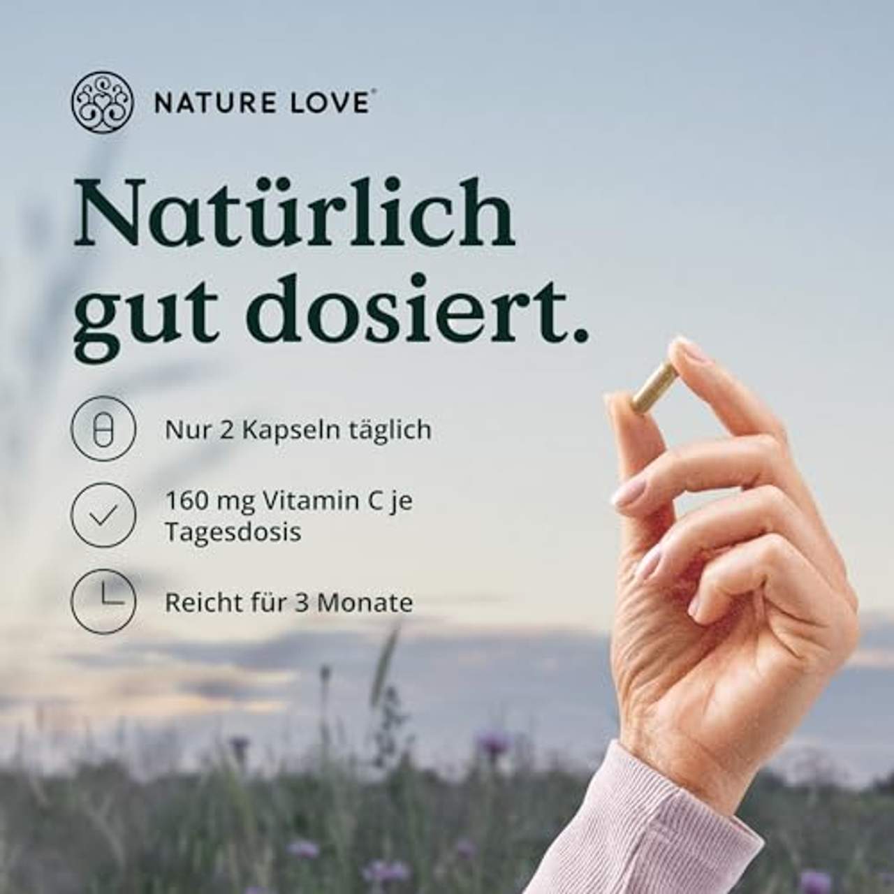 Nature Love Natürliches Vitamin C in Bio Qualität