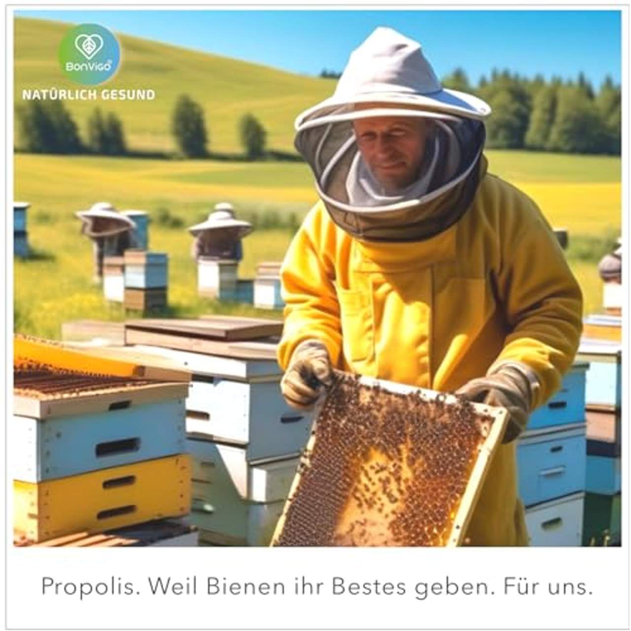 BonVigo Propolis Kapseln Bienenkraft
