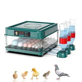 Brutautomat Vollautomatisch Brutmaschine Vollautomatisch Inkubator Hühner