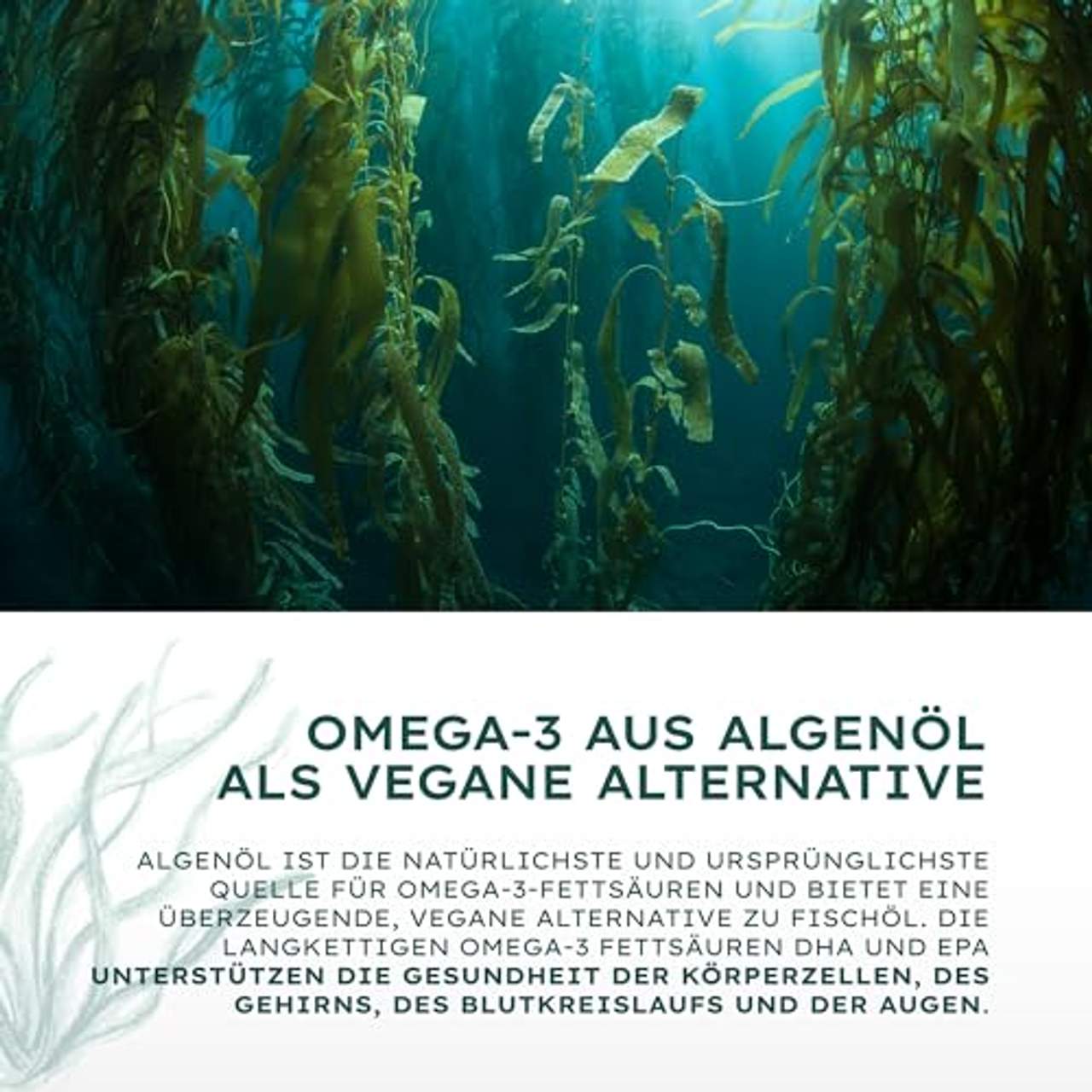 Nature Basics Algenöl Omega 3 vegan