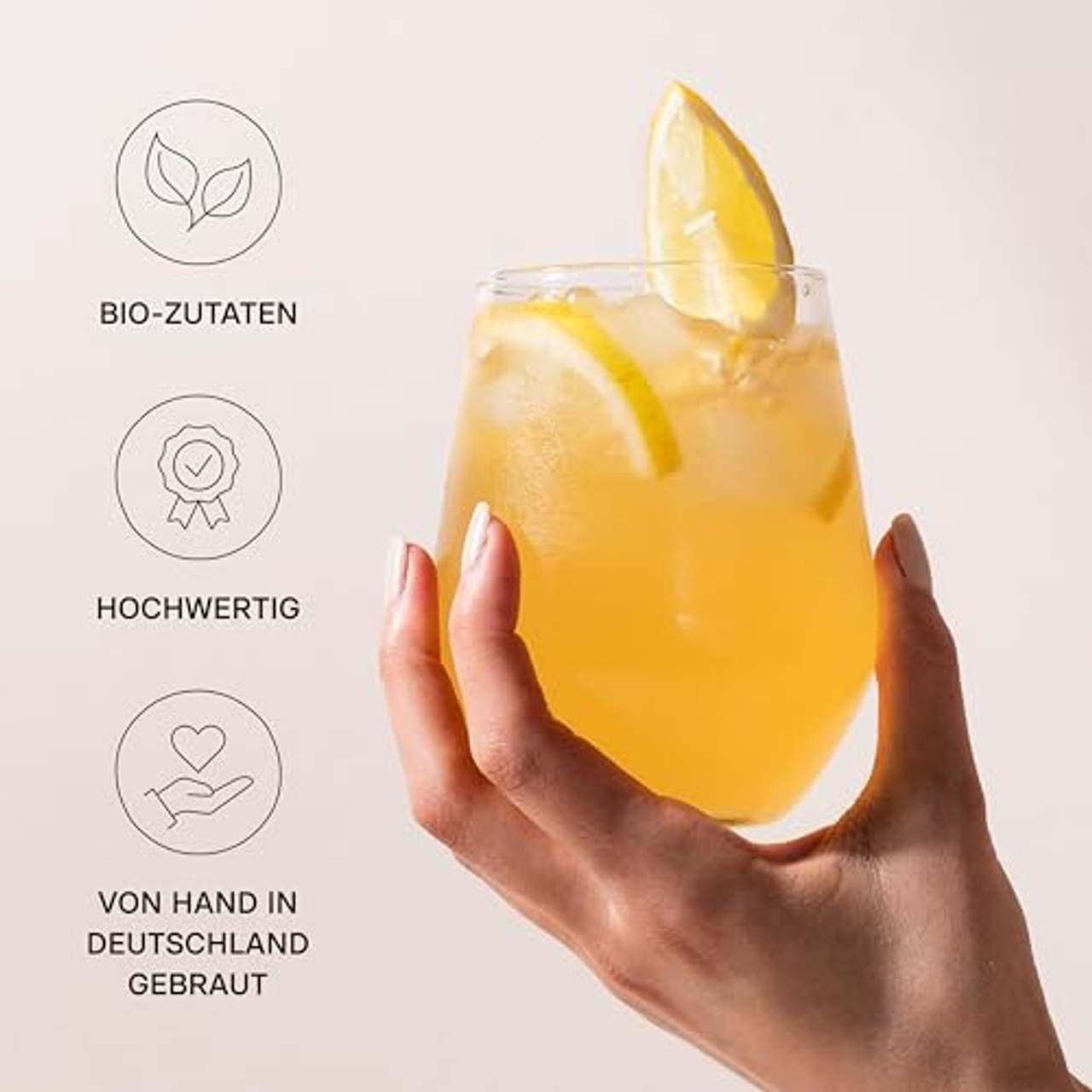 ROY Kombucha Probierpaket Bio Kombucha