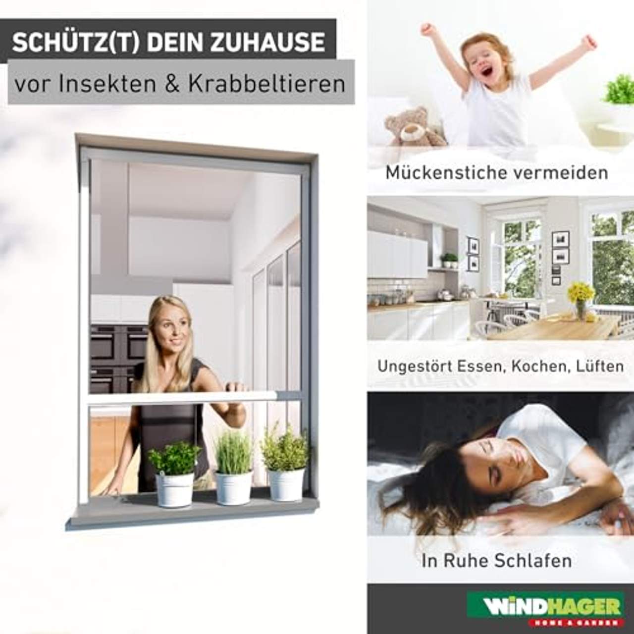 Windhager Insektenschutz Plus Rollo Fenster
