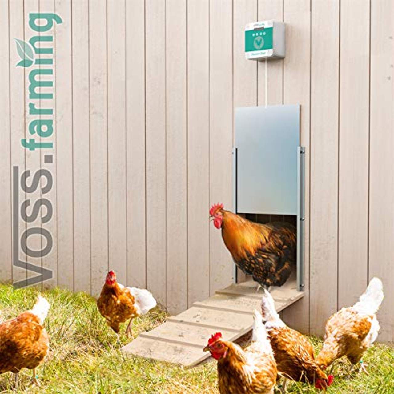 VOSS.farming Set Chicken-Door automatische Hühnertür