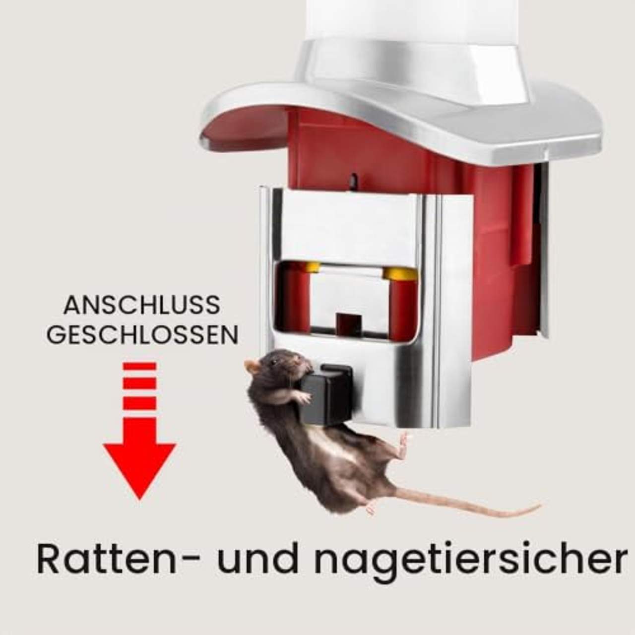 Roamwild Rattensicherer Geflügel-Futterspender