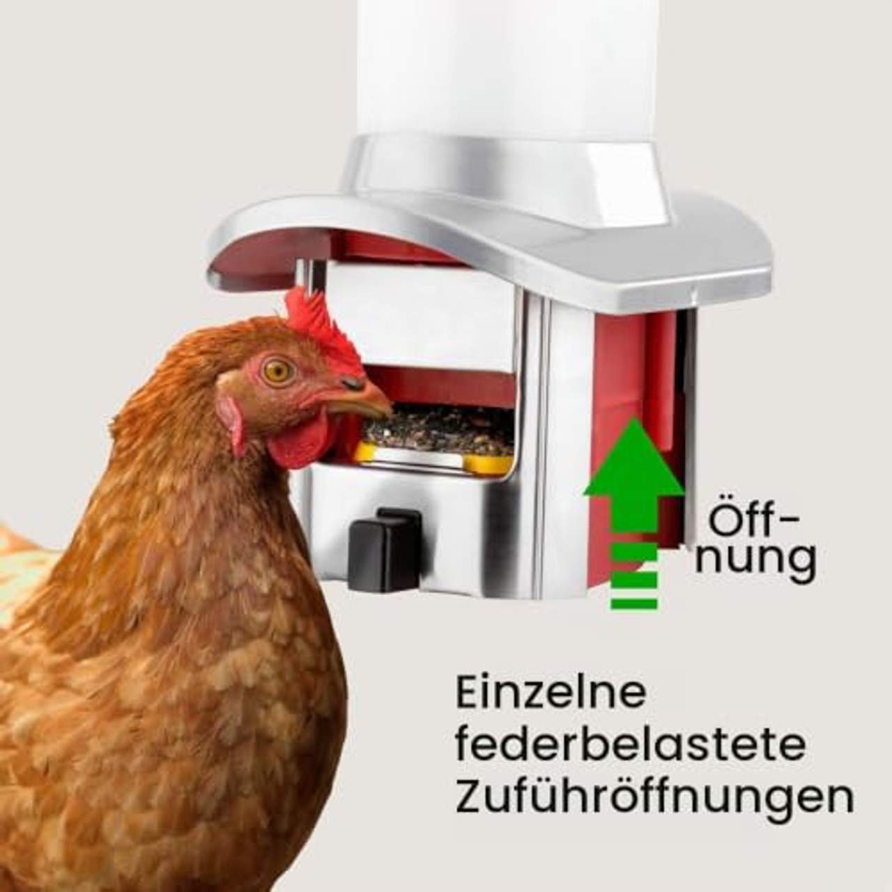 Roamwild Rattensicherer Geflügel-Futterspender
