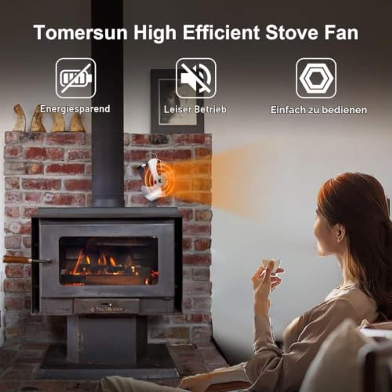 Tomersun Ofenventilator