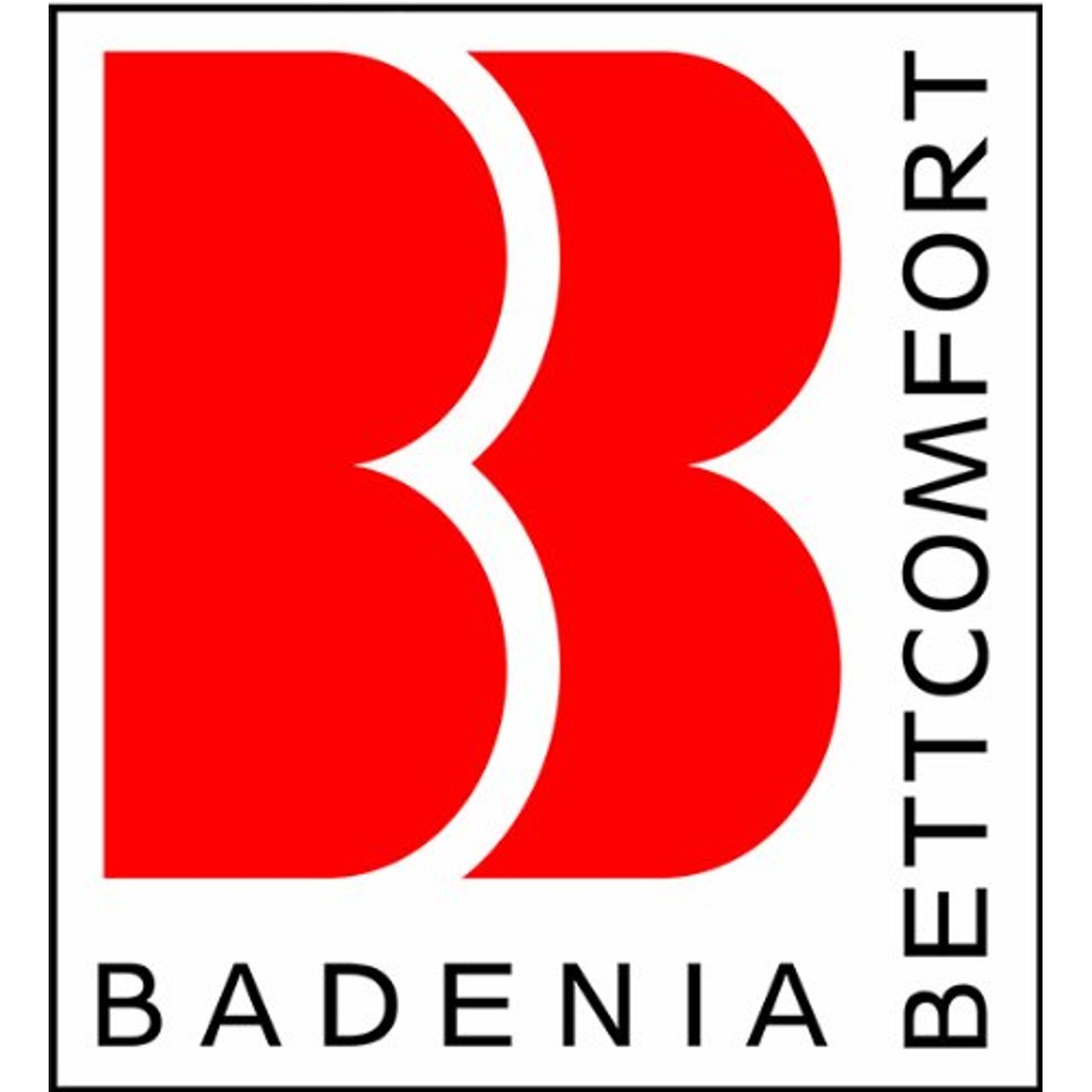Badenia Bettcomfort Irisette Dinkelkissen