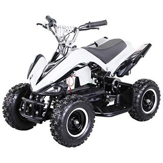 Actionbikes Motors Mini Elektro Kinder Racer 800 Watt ATV Pocket Quad Kinderquad
