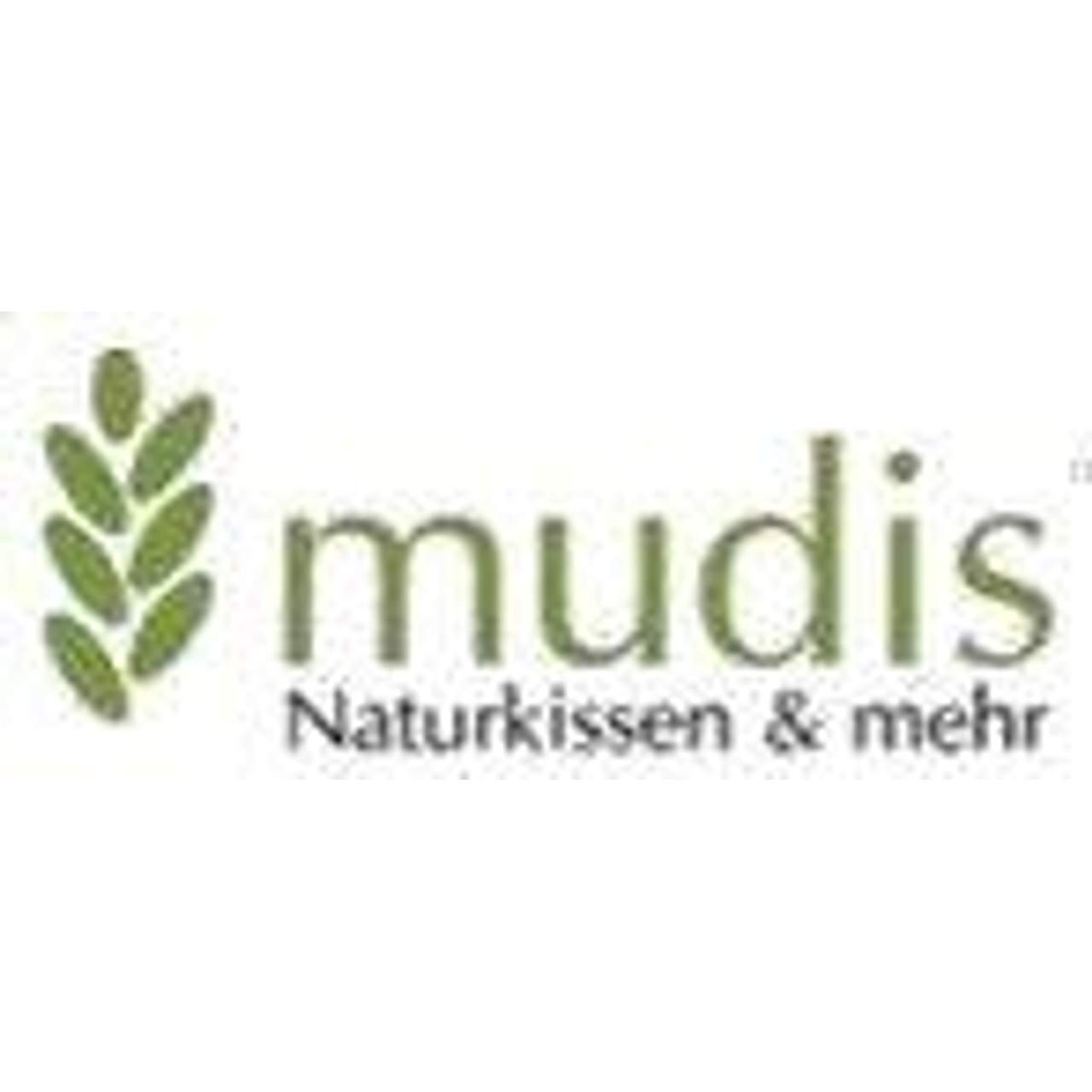 mudis Naturkissen&mehr Dinkelkissen 40x60cm